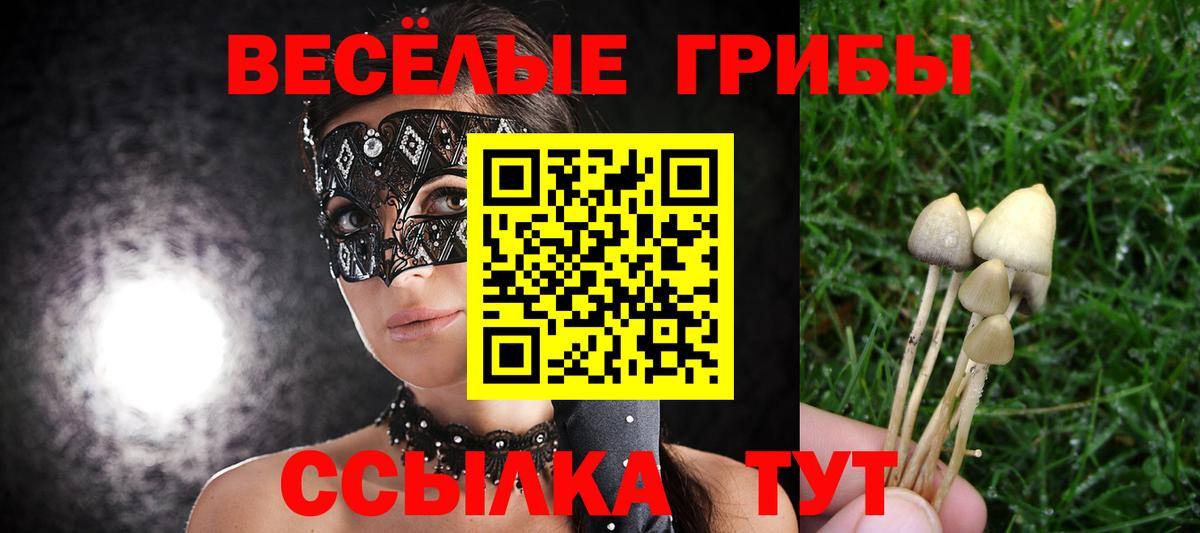 Галлюциногенные грибы ЛСД Кизляр